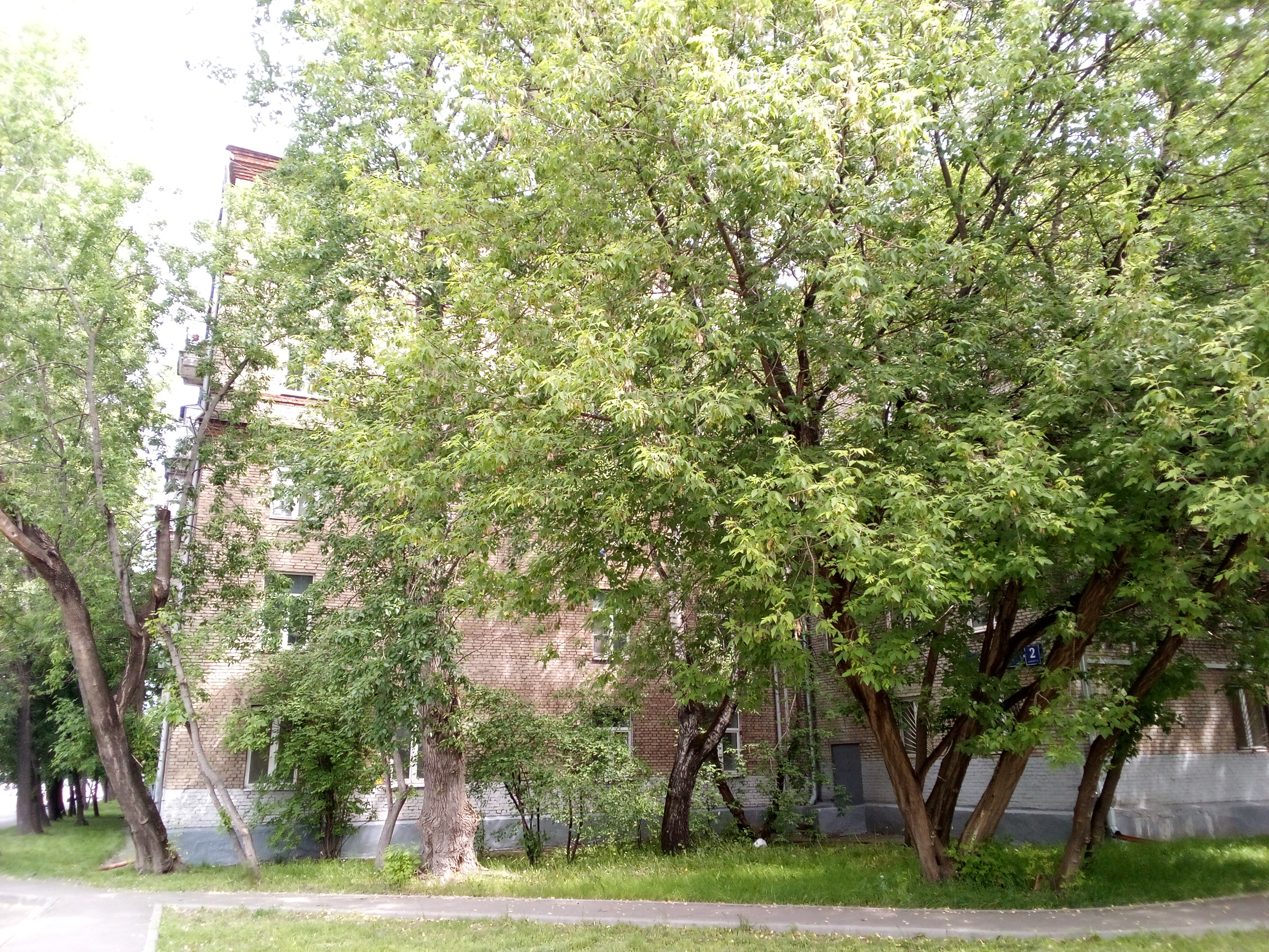 ГП16962568.Квартира.Общий фасад здания_4.jpg