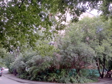 ГП16964020.Квартира.Общий фасад здания_2.jpg