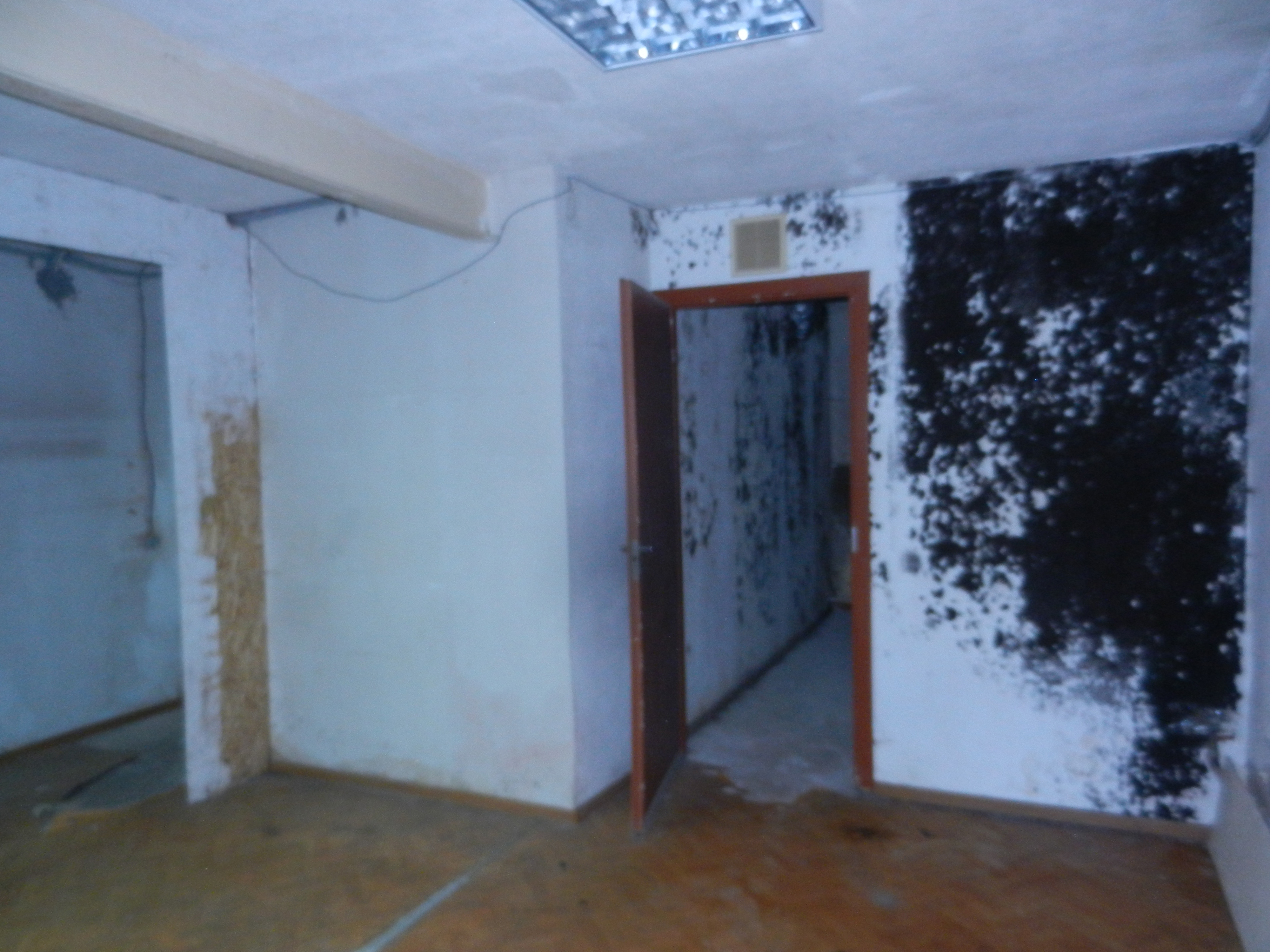 ГП16913290.Нежилое помещение.Каждое помещение_комната, входящее в состав реализуемого объекта _10.jpg