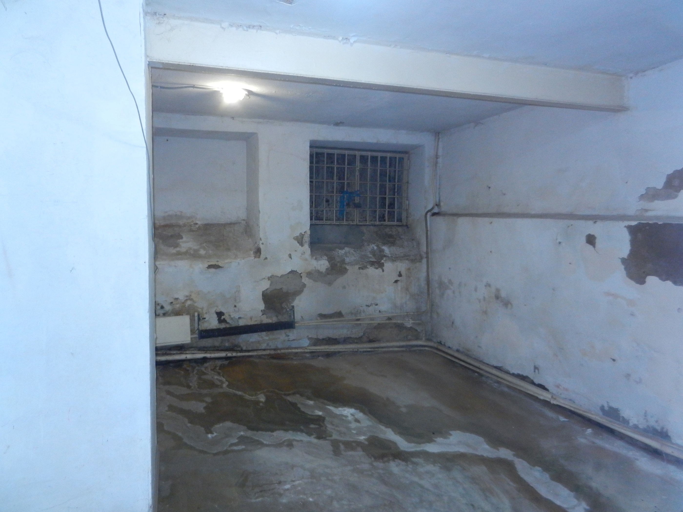 ГП16913290.Нежилое помещение.Каждое помещение_комната, входящее в состав реализуемого объекта _10.jpg