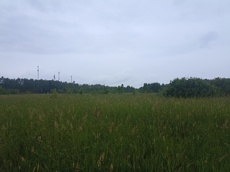 ГП16963489.Земельный участок.Общий вид объекта_3.jpg