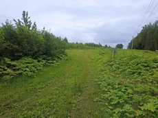 ГП16963489.Земельный участок.Общий вид объекта_10.jpg