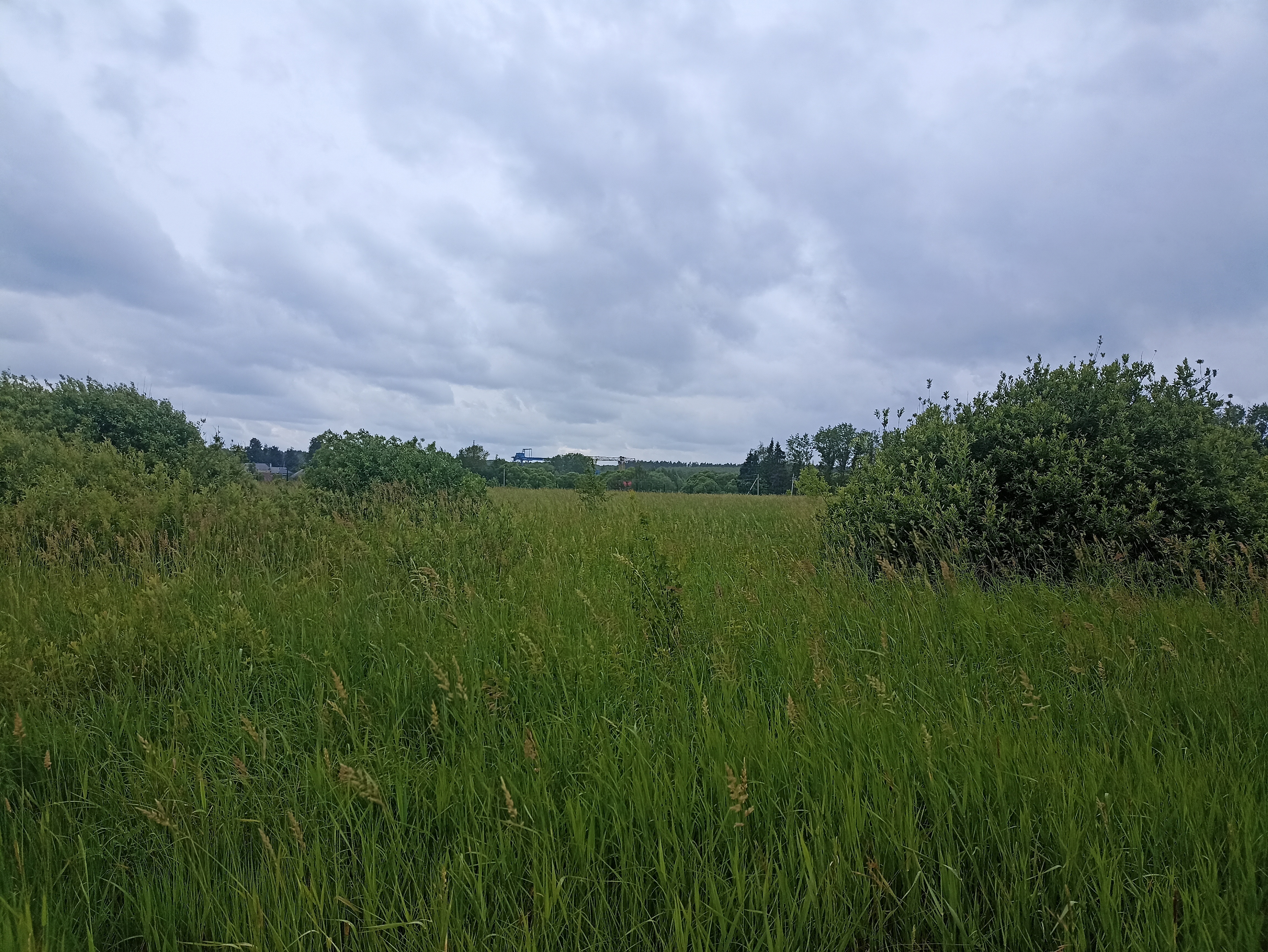 ГП16963489.Земельный участок.Общий вид объекта_5.jpg