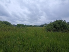 ГП16963489.Земельный участок.Общий вид объекта_5.jpg