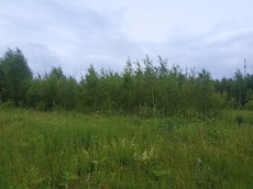 ГП16963489.Земельный участок.Общий вид объекта_10.jpg