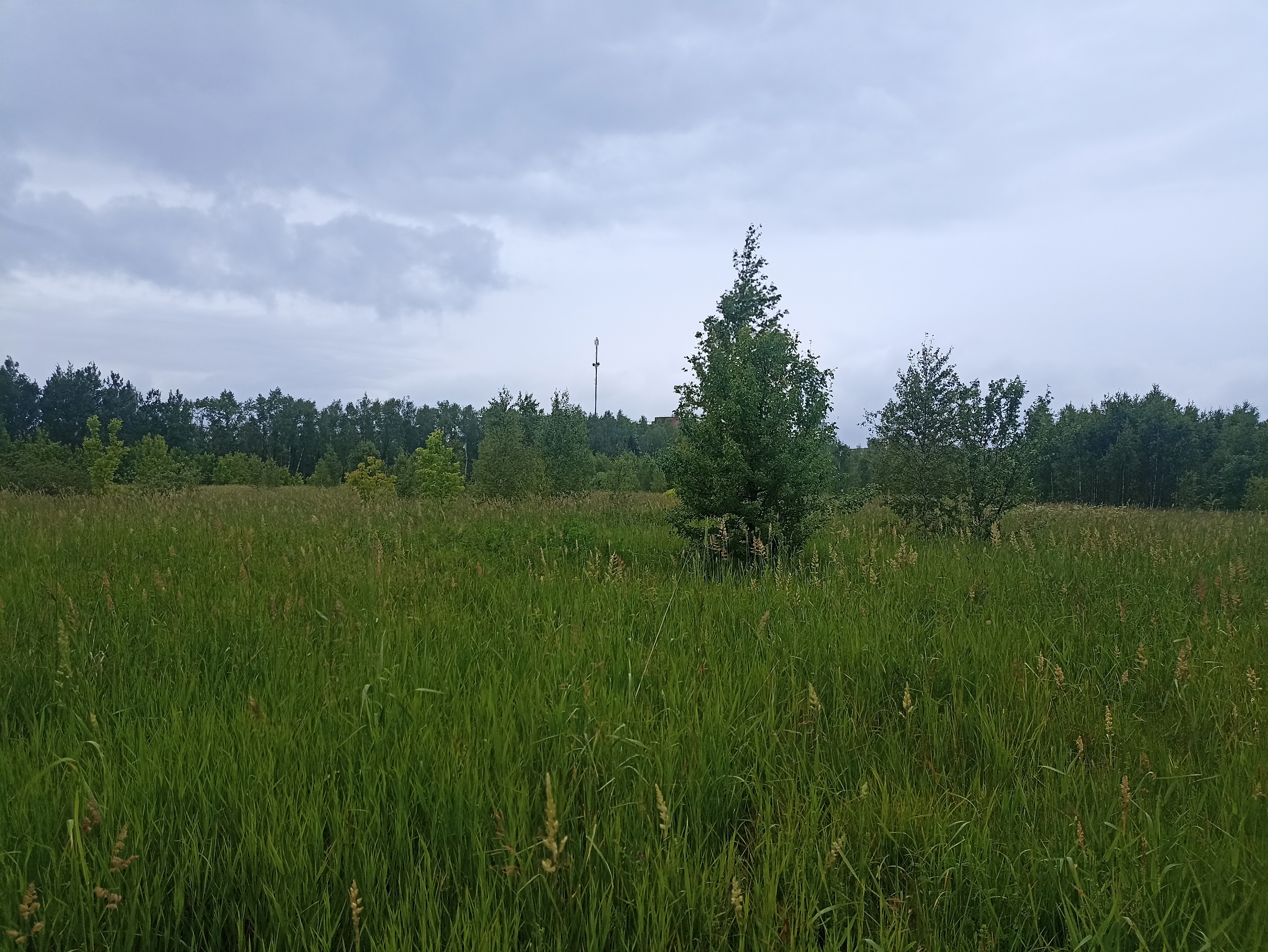 ГП16963489.Земельный участок.Общий вид объекта_7.jpg