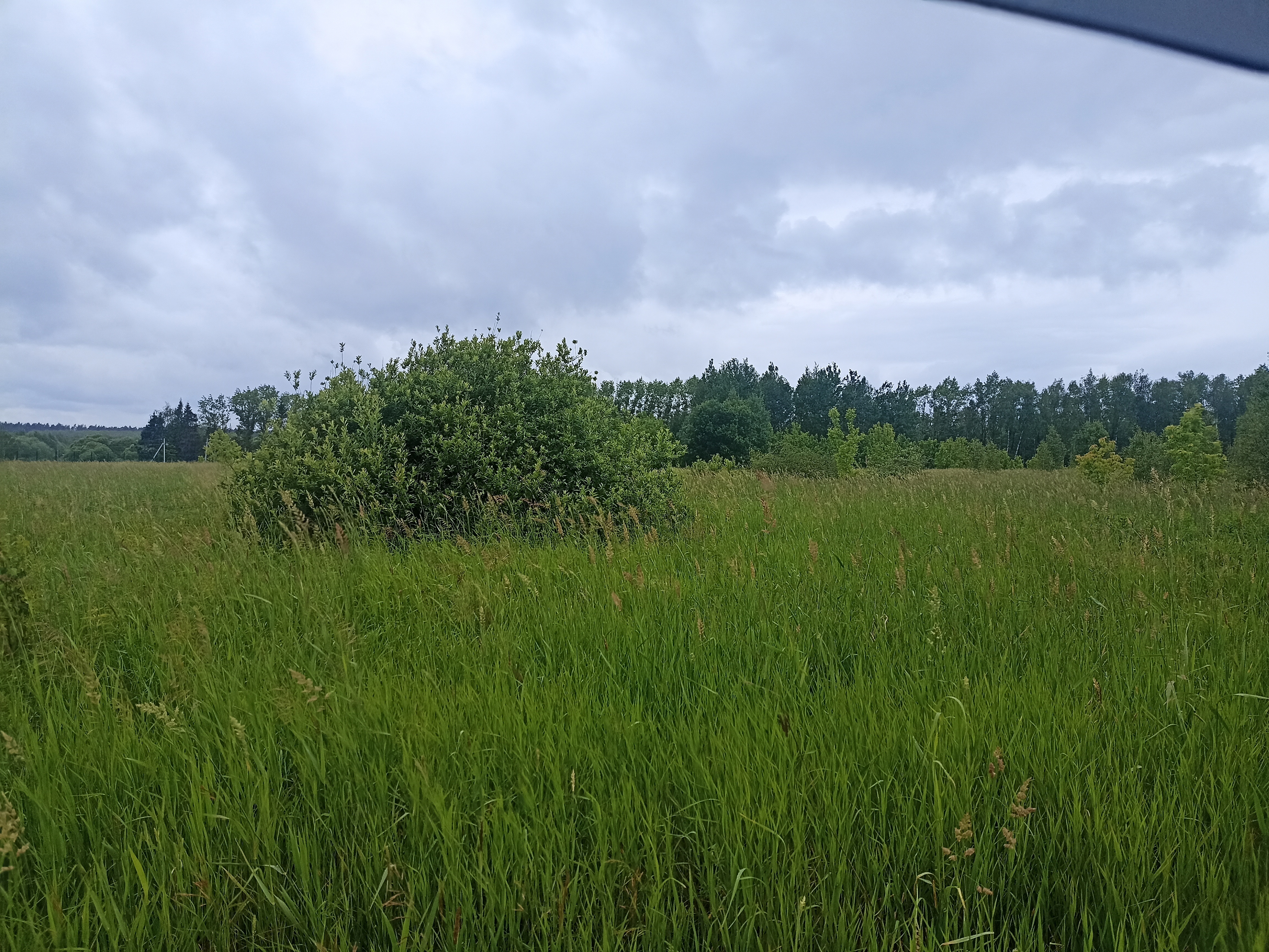 ГП16963489.Земельный участок.Общий вид объекта_6.jpg