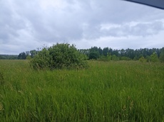 ГП16963489.Земельный участок.Общий вид объекта_6.jpg