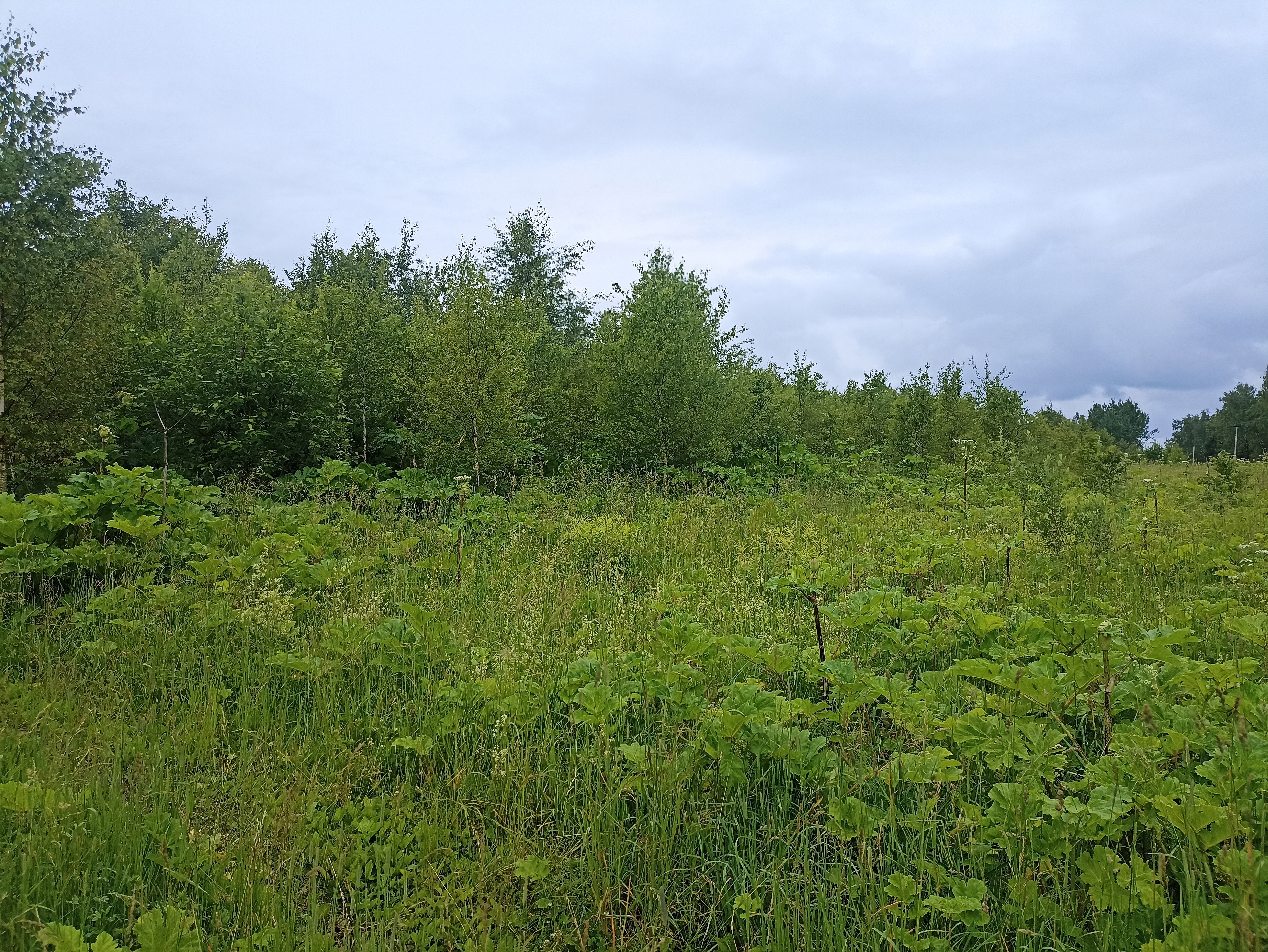 ГП16963489.Земельный участок.Общий вид объекта_10.jpg