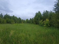 ГП16963489.Земельный участок.Общий вид объекта_10.jpg