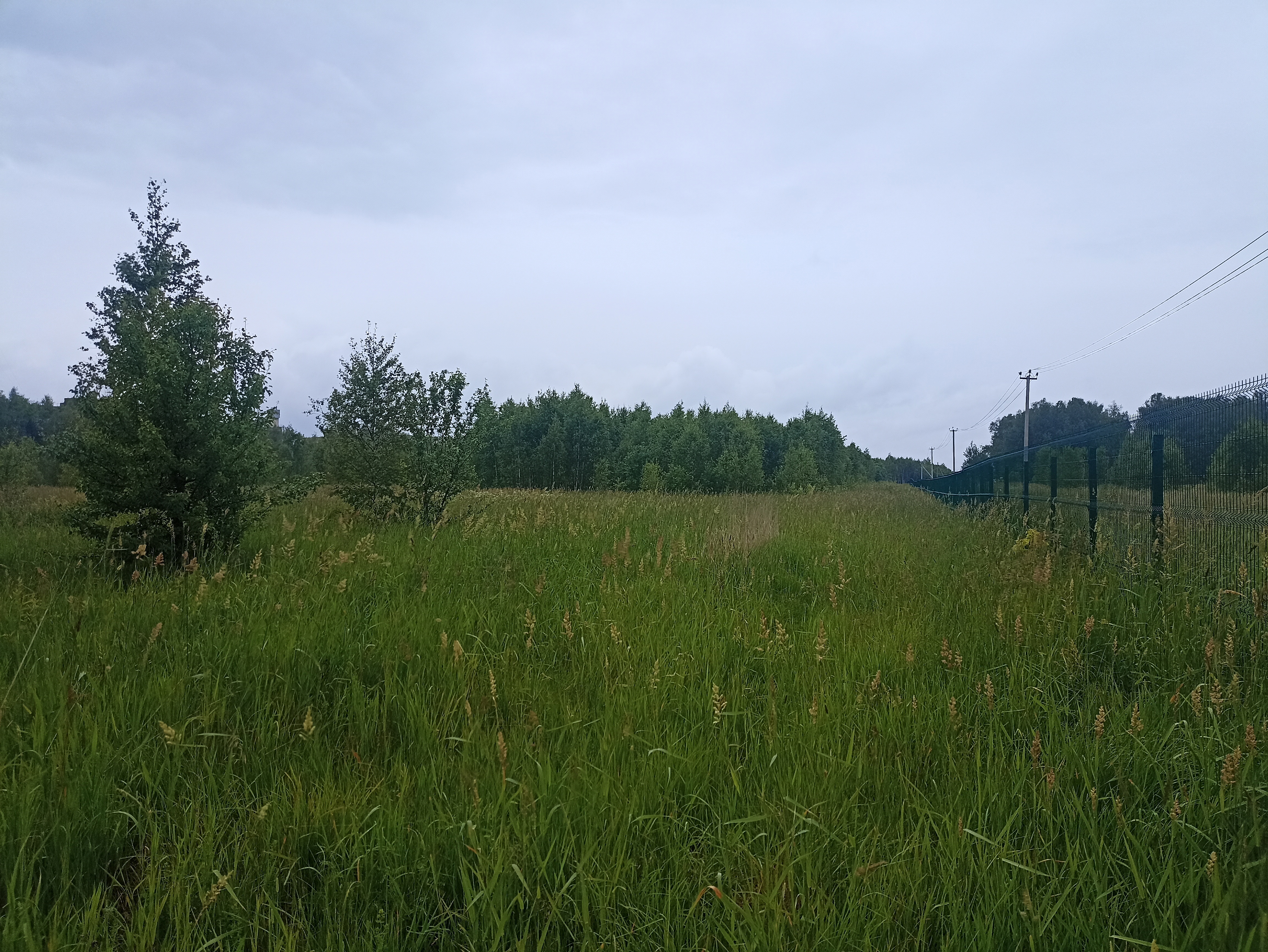 ГП16963489.Земельный участок.Общий вид объекта_8.jpg