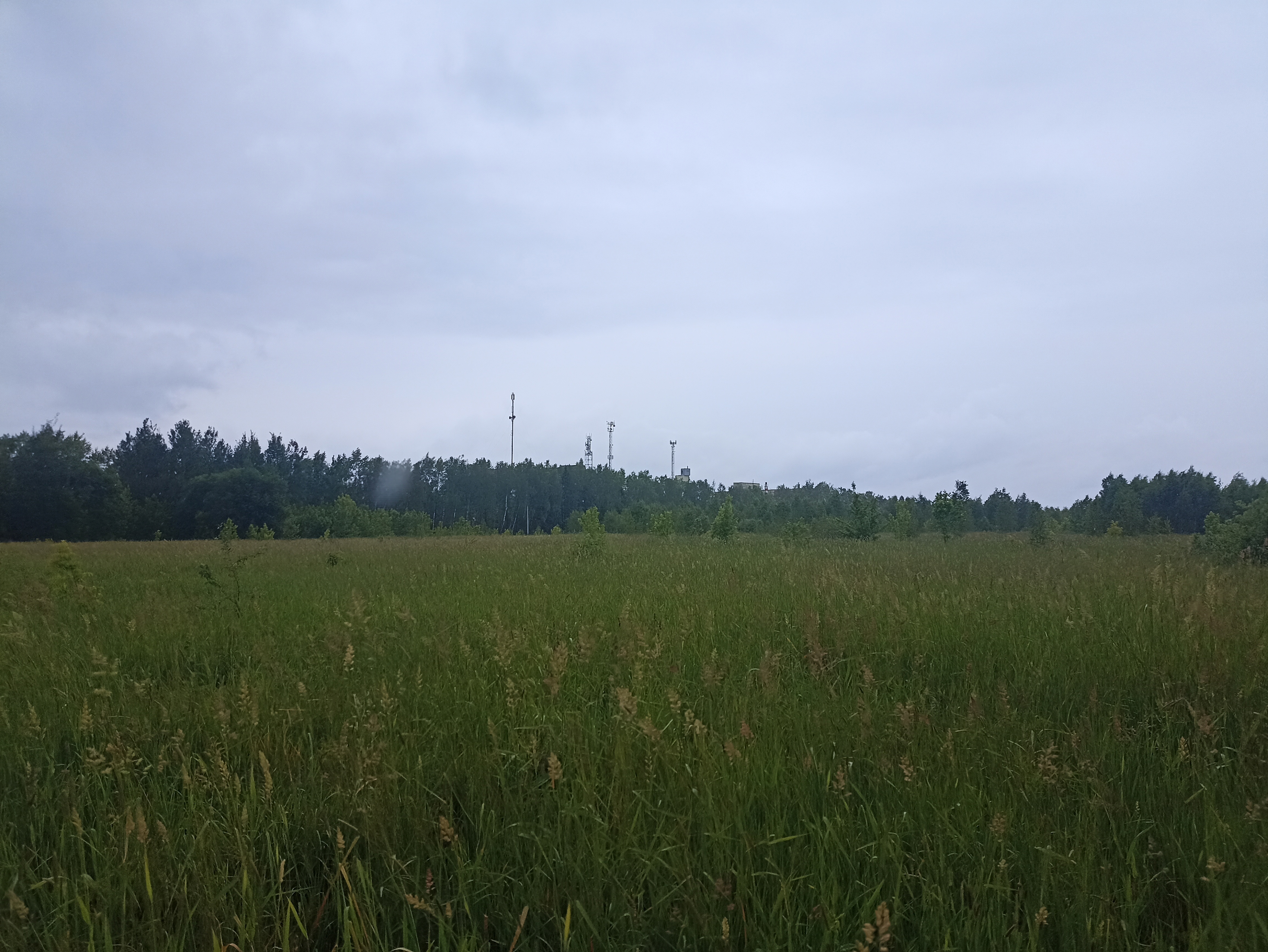 ГП16963489.Земельный участок.Общий вид объекта_2.jpg