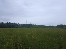 ГП16963489.Земельный участок.Общий вид объекта_2.jpg