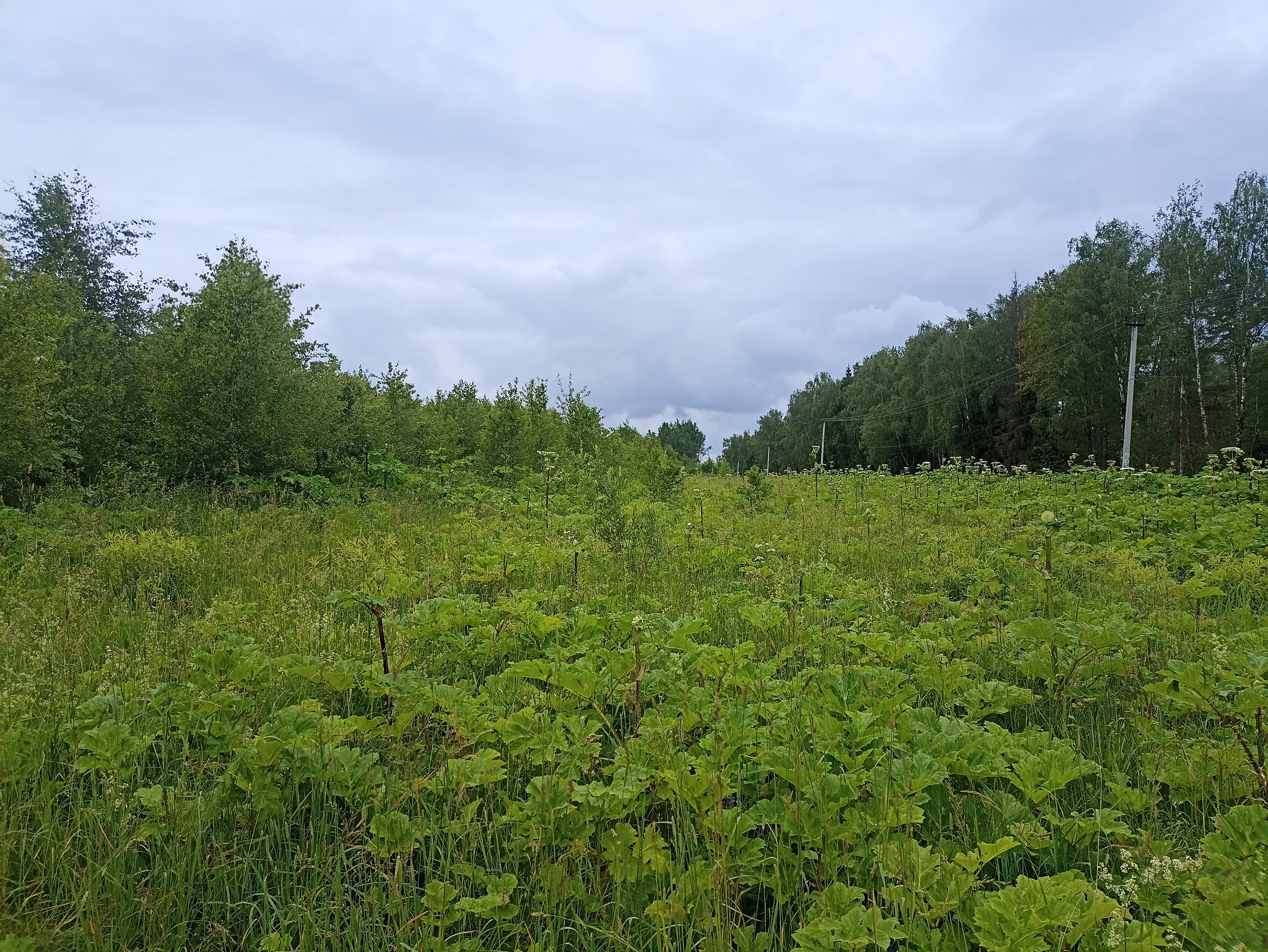 ГП16963489.Земельный участок.Общий вид объекта_10.jpg