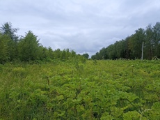 ГП16963489.Земельный участок.Общий вид объекта_10.jpg