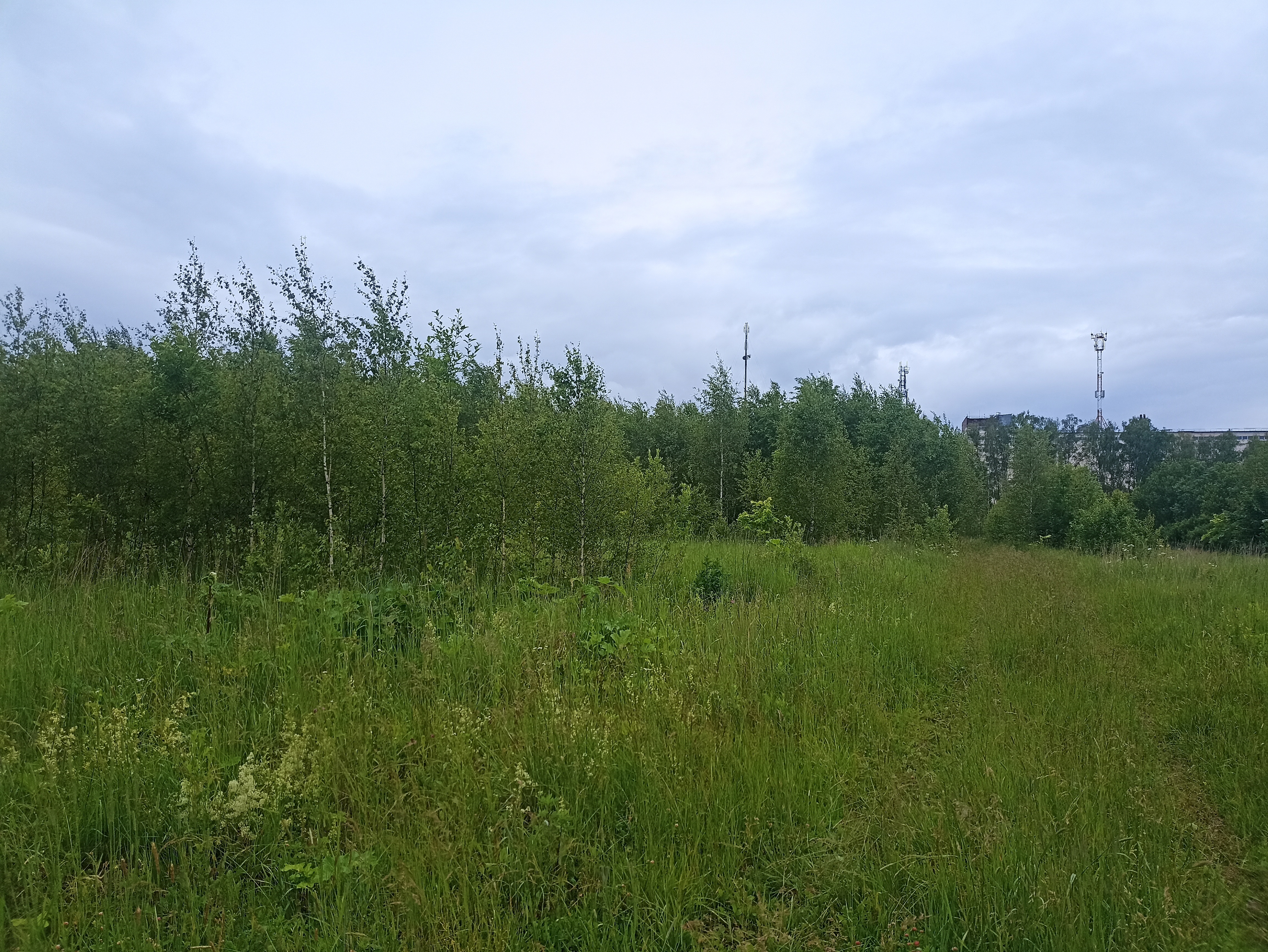 ГП16963489.Земельный участок.Общий вид объекта_10.jpg