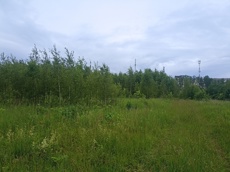 ГП16963489.Земельный участок.Общий вид объекта_10.jpg