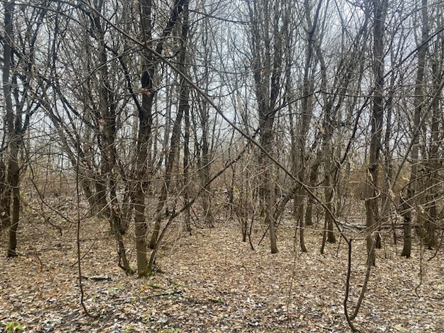 ГП16956545.Земельный участок.Общий вид объекта_10.jpeg