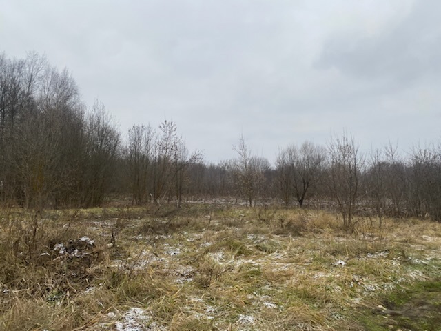 ГП16956545.Земельный участок.Общий вид объекта_10.jpeg