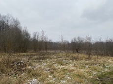 ГП16956545.Земельный участок.Общий вид объекта_10.jpeg