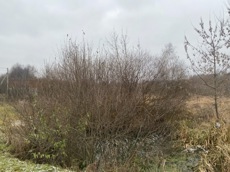 ГП16956545.Земельный участок.Общий вид объекта_3.jpeg