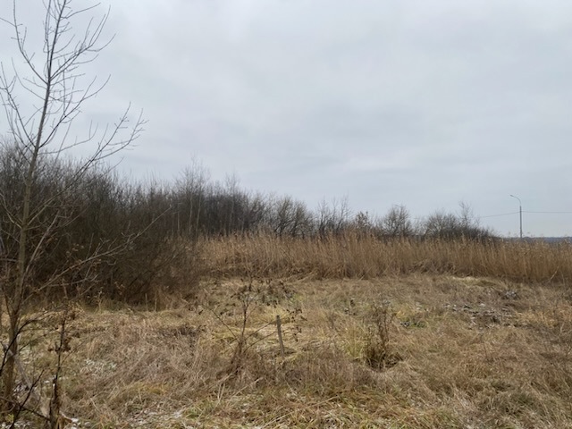 ГП16956545.Земельный участок.Общий вид объекта_8.jpeg