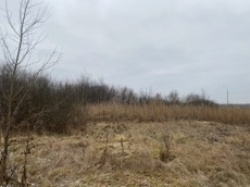 ГП16956545.Земельный участок.Общий вид объекта_8.jpeg