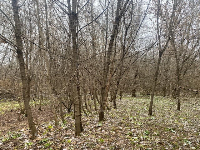 ГП16956545.Земельный участок.Общий вид объекта_10.jpeg