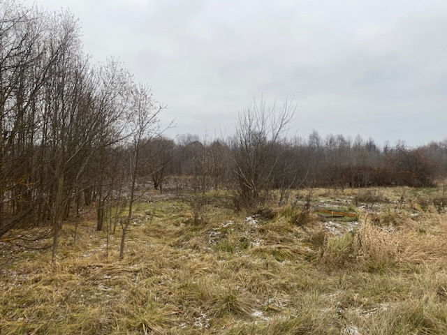 ГП16956545.Земельный участок.Общий вид объекта_10.jpeg