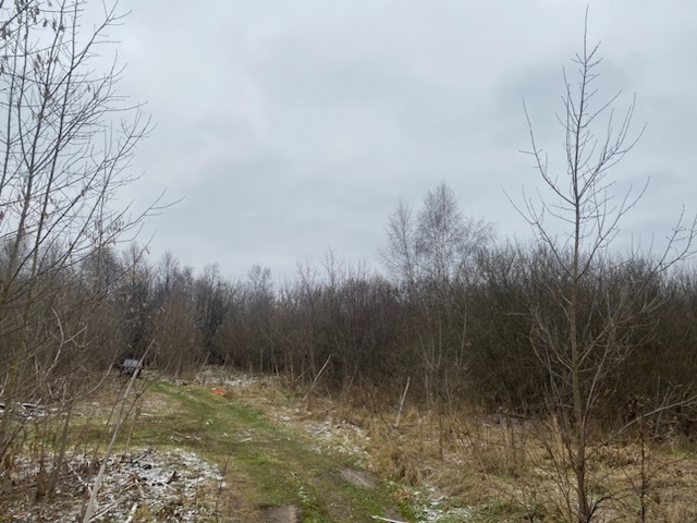 ГП16956545.Земельный участок.Общий вид объекта_6.jpeg