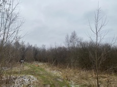 ГП16956545.Земельный участок.Общий вид объекта_6.jpeg