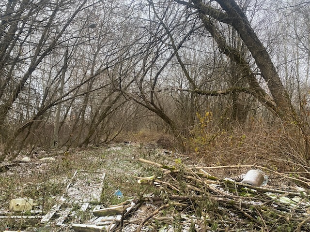 ГП16956545.Земельный участок.Общий вид объекта_10.jpeg