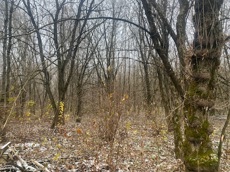 ГП16956545.Земельный участок.Общий вид объекта_10.jpeg