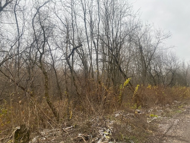 ГП16956545.Земельный участок.Общий вид объекта_10.jpeg