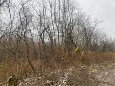 ГП16956545.Земельный участок.Общий вид объекта_10.jpeg