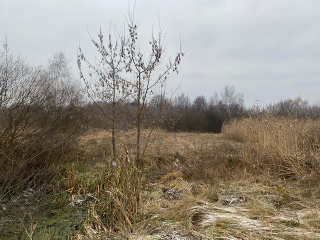 ГП16956545.Земельный участок.Общий вид объекта_4.jpeg