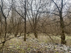 ГП16956545.Земельный участок.Общий вид объекта_10.jpeg