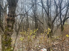 ГП16956545.Земельный участок.Общий вид объекта_10.jpeg