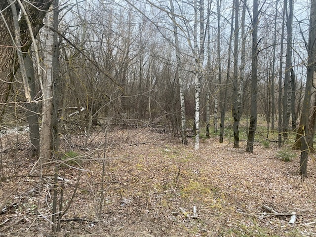 ГП16956545.Земельный участок.Общий вид объекта_10.jpeg