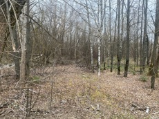 ГП16956545.Земельный участок.Общий вид объекта_10.jpeg