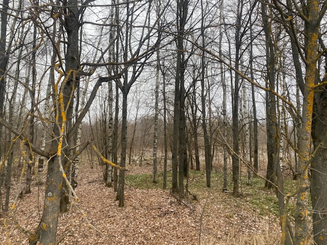 ГП16956545.Земельный участок.Общий вид объекта_10.jpeg