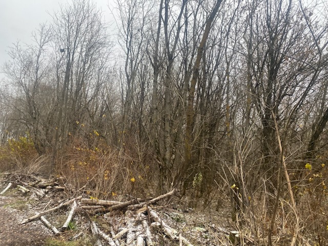 ГП16956545.Земельный участок.Общий вид объекта_10.jpeg