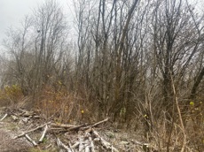 ГП16956545.Земельный участок.Общий вид объекта_10.jpeg