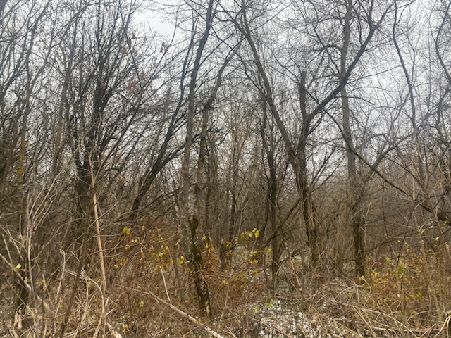 ГП16956545.Земельный участок.Общий вид объекта_10.jpeg