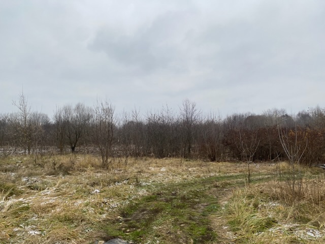 ГП16956545.Земельный участок.Общий вид объекта_9.jpeg