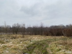 ГП16956545.Земельный участок.Общий вид объекта_9.jpeg