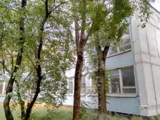 ГП16952639.Здание.Общий фасад здания_6.jpg