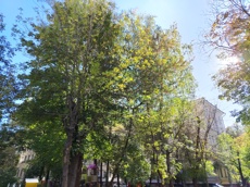 ГП16971839.Нежилое помещение.Общий фасад здания_7.jpg