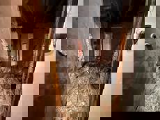 ГП16965143.Нежилое помещение.Каждое помещение_комната, входящее в состав реализуемого объекта _8.jpg