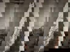 ГП16965143.Нежилое помещение.Каждое помещение_комната, входящее в состав реализуемого объекта _6.jpg